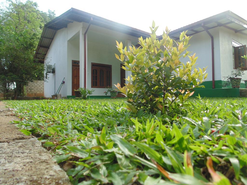 White Eagle Hotel Sigiriya Bagian luar foto