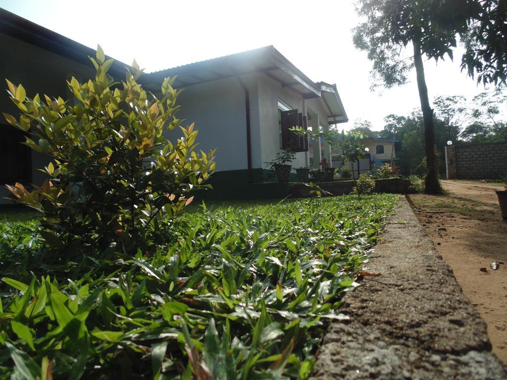 White Eagle Hotel Sigiriya Bagian luar foto